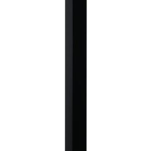 7006